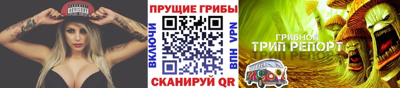Псилоцибиновые грибы мицелий площадка официальный сайт Ревда