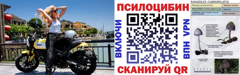 Галлюциногенные грибы GOLDEN TEACHER Ревда