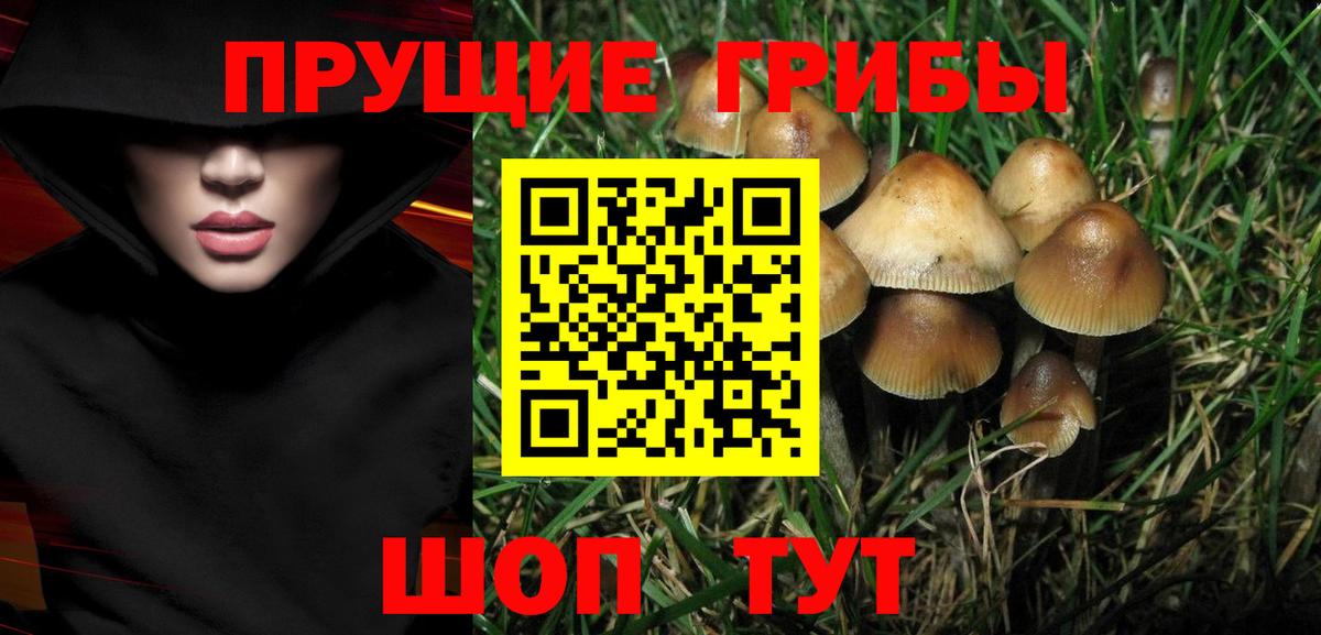 Галлюциногенные грибы прущие грибы  Вход с VPN  Ревда 